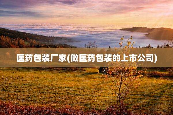医药包装厂家(做医药包装的上市公司)