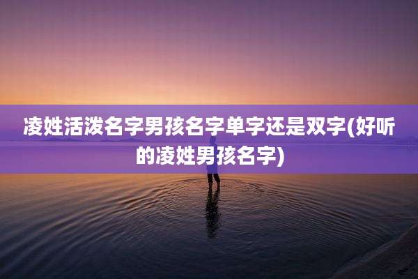 凌姓活泼名字男孩名字单字还是双字(好听的凌姓男孩名字)