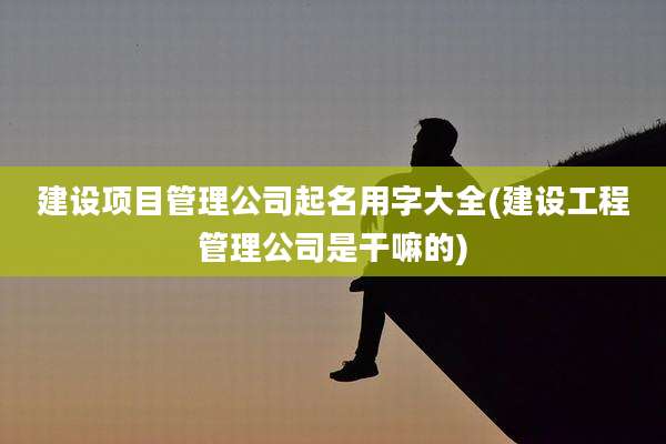 建设项目管理公司起名用字大全(建设工程管理公司是干嘛的)