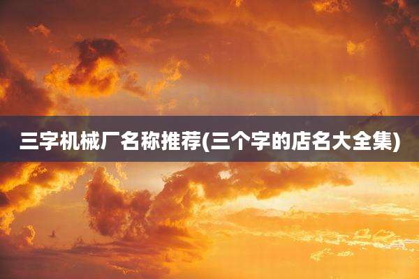 三字机械厂名称推荐(三个字的店名大全集)