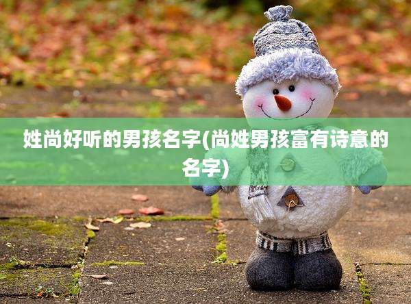 姓尚好听的男孩名字(尚姓男孩富有诗意的名字)