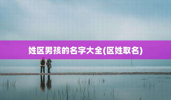 姓区男孩的名字大全(区姓取名)