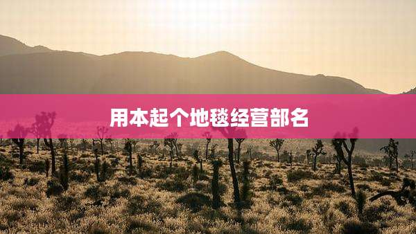 用本起个地毯经营部名
