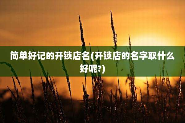 简单好记的开锁店名(开锁店的名字取什么好呢?)