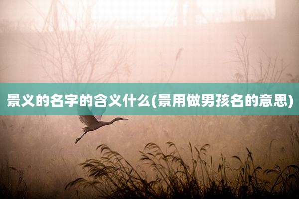 景义的名字的含义什么(景用做男孩名的意思)