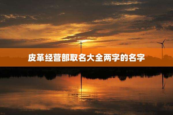 皮革经营部取名大全两字的名字