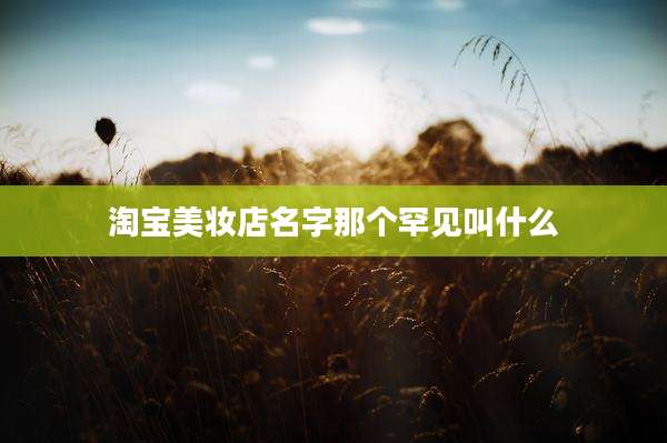 淘宝美妆店名字那个罕见叫什么