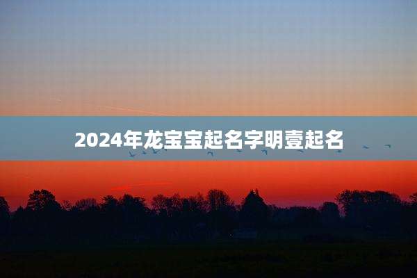 2024年龙宝宝起名字明壹起名