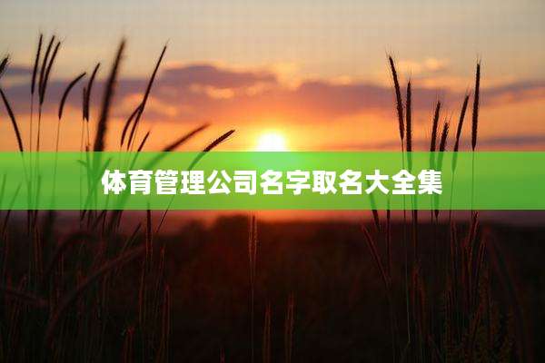 体育管理公司名字取名大全集