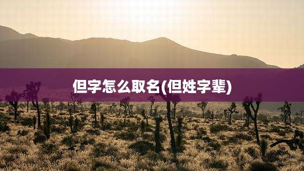 但字怎么取名(但姓字辈)