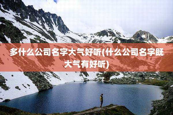 多什么公司名字大气好听(什么公司名字既大气有好听)