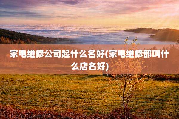 家电维修公司起什么名好(家电维修部叫什么店名好)