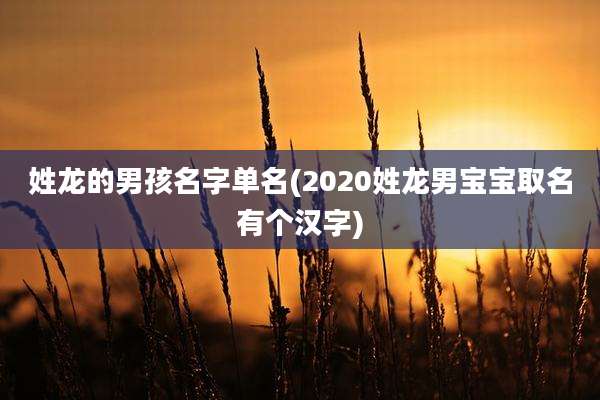 姓龙的男孩名字单名(2020姓龙男宝宝取名有个汉字)