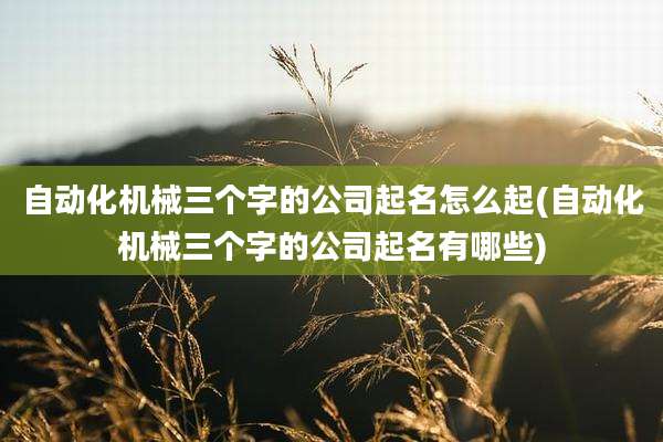 自动化机械三个字的公司起名怎么起(自动化机械三个字的公司起名有哪些)