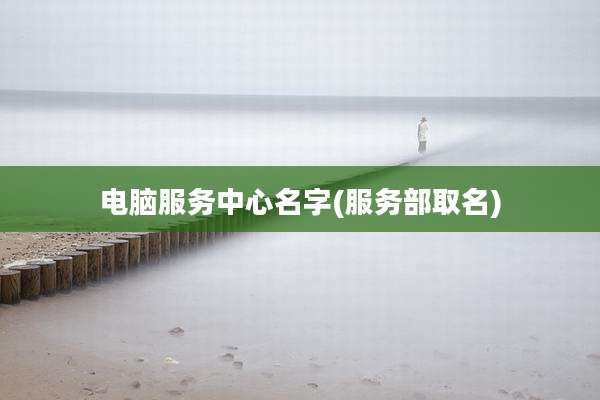 电脑服务中心名字(服务部取名)