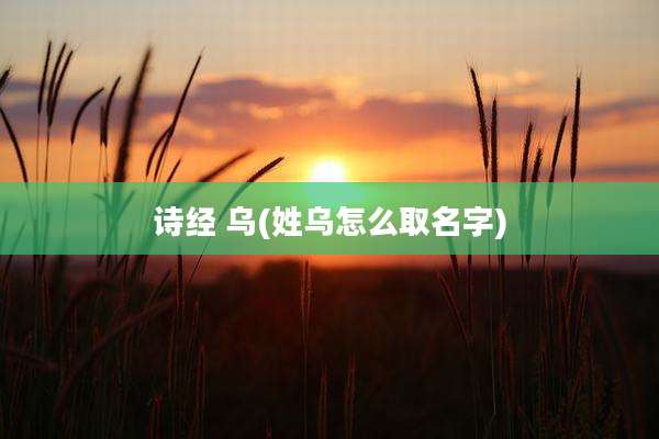 诗经 乌(姓乌怎么取名字)