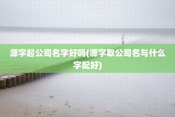 源字起公司名字好吗(源字取公司名与什么字配好)