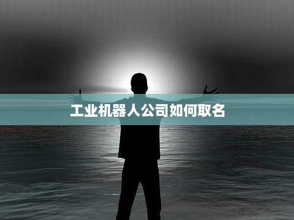 工业机器人公司如何取名