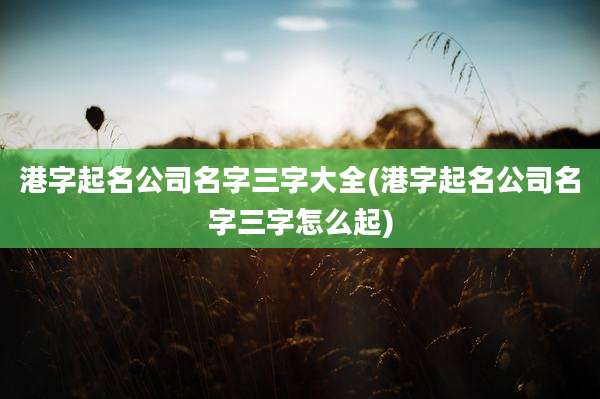 港字起名公司名字三字大全(港字起名公司名字三字怎么起)