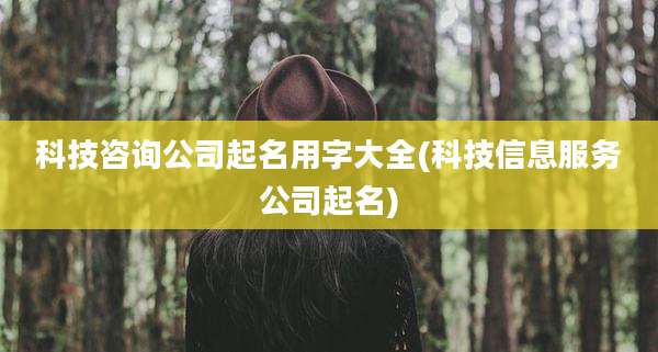 科技咨询公司起名用字大全(科技信息服务公司起名)