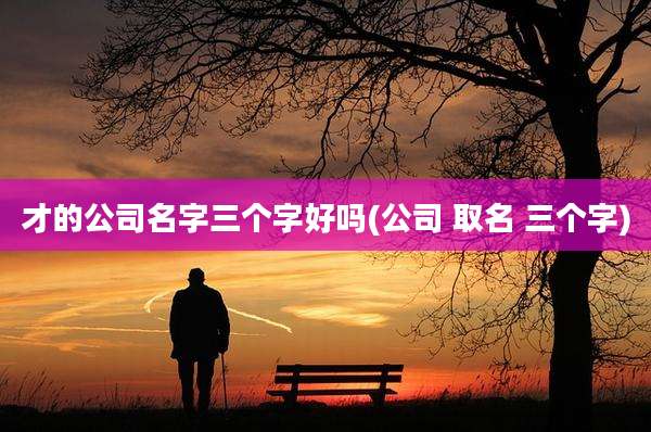 才的公司名字三个字好吗(公司 取名 三个字)