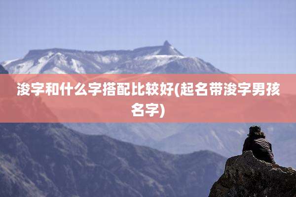 浚字和什么字搭配比较好(起名带浚字男孩名字)