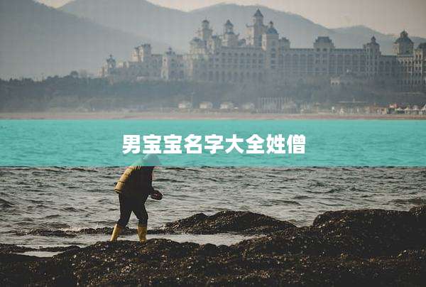 男宝宝名字大全姓僧