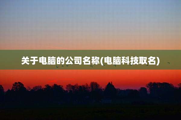 关于电脑的公司名称(电脑科技取名)