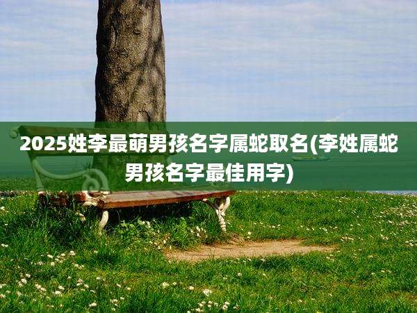 2025姓李最萌男孩名字属蛇取名(李姓属蛇男孩名字最佳用字)