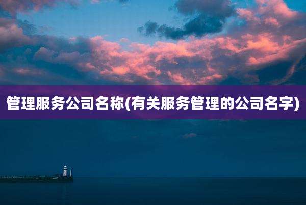 管理服务公司名称(有关服务管理的公司名字)