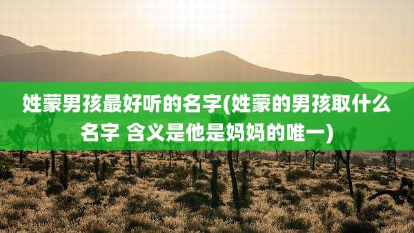 姓蒙男孩最好听的名字(姓蒙的男孩取什么名字 含义是他是妈妈的唯一)