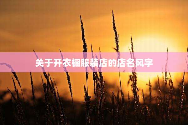 关于开衣橱服装店的店名风字