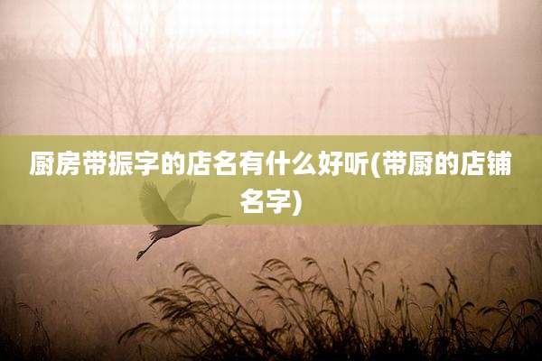 厨房带振字的店名有什么好听(带厨的店铺名字)