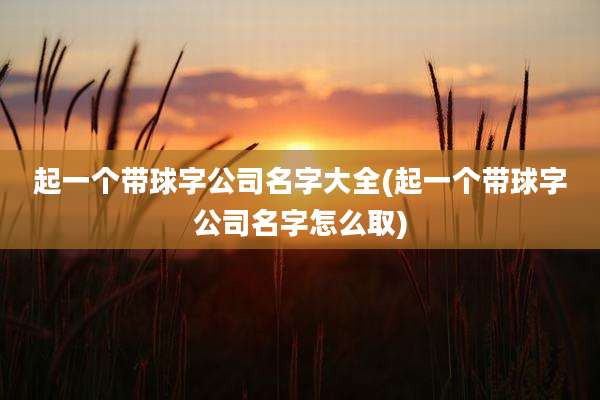 起一个带球字公司名字大全(起一个带球字公司名字怎么取)