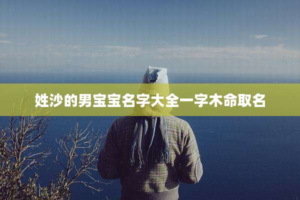 姓沙的男宝宝名字大全一字木命取名