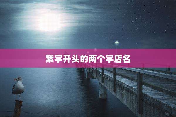 紫字开头的两个字店名