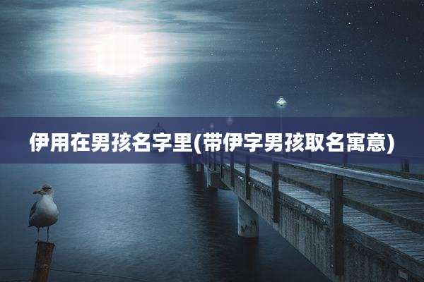 伊用在男孩名字里(带伊字男孩取名寓意)