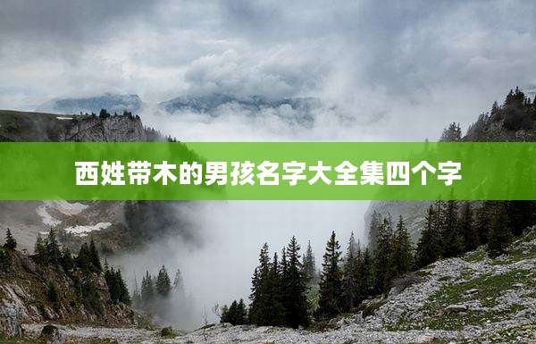西姓带木的男孩名字大全集四个字