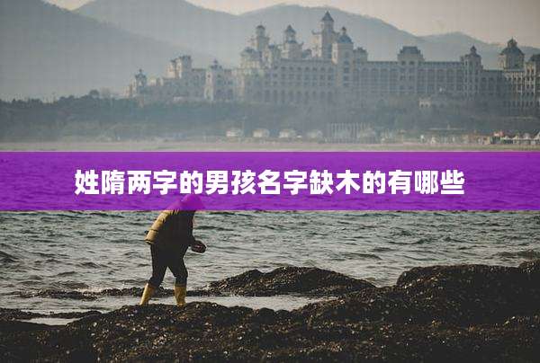 姓隋两字的男孩名字缺木的有哪些
