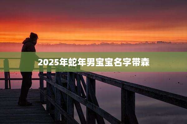 2025年蛇年男宝宝名字带森