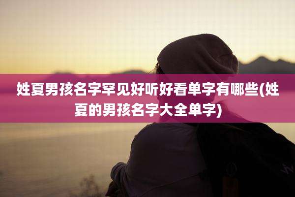 姓夏男孩名字罕见好听好看单字有哪些(姓夏的男孩名字大全单字)