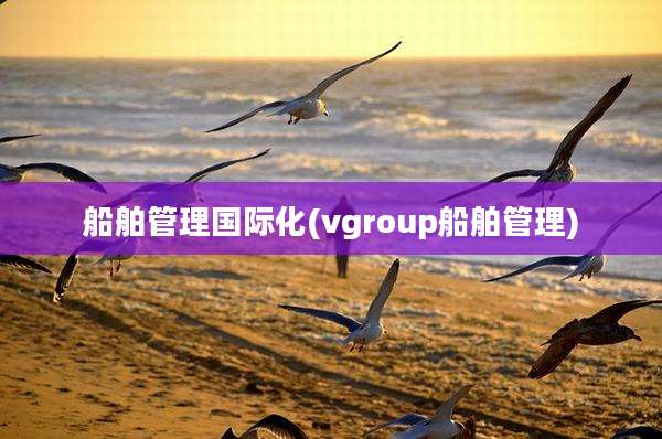 船舶管理国际化(vgroup船舶管理)