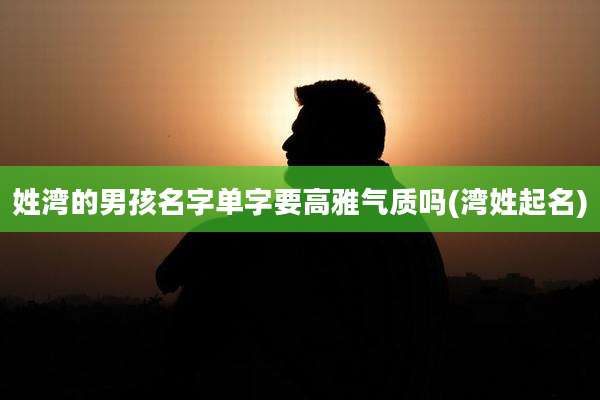 姓湾的男孩名字单字要高雅气质吗(湾姓起名)