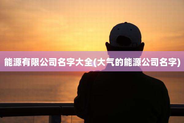 能源有限公司名字大全(大气的能源公司名字)