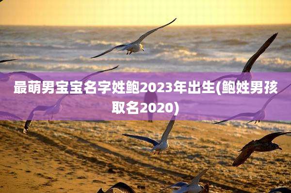 最萌男宝宝名字姓鲍2023年出生(鲍姓男孩取名2020)