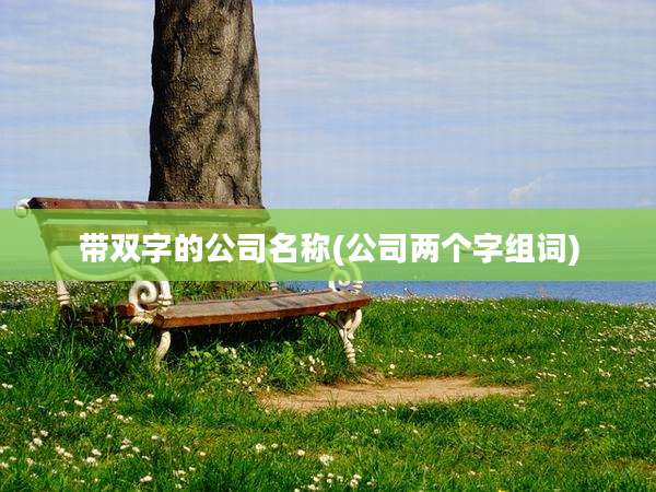 带双字的公司名称(公司两个字组词)