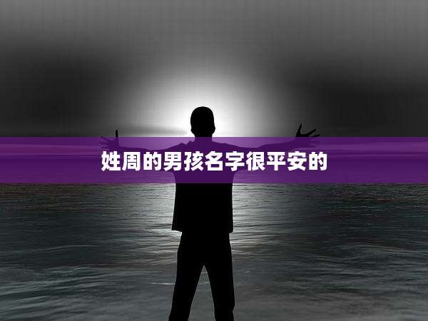 姓周的男孩名字很平安的