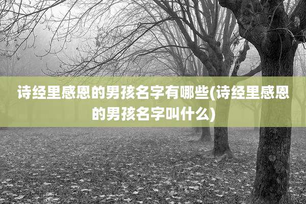 诗经里感恩的男孩名字有哪些(诗经里感恩的男孩名字叫什么)