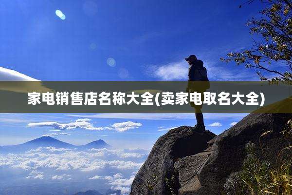 家电销售店名称大全(卖家电取名大全)