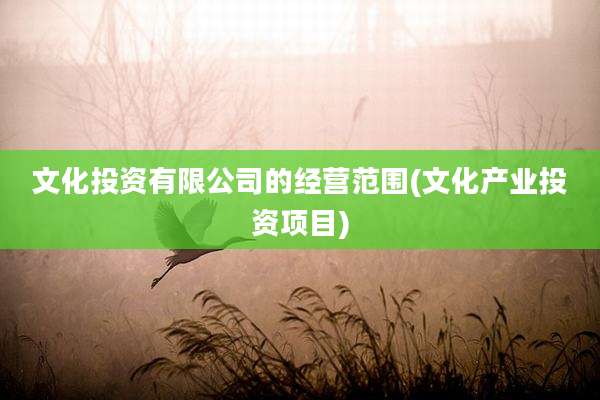文化投资有限公司的经营范围(文化产业投资项目)